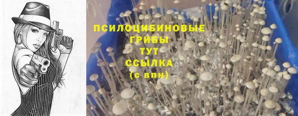 прущие крисы Надым