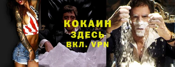 прущие крисы Надым