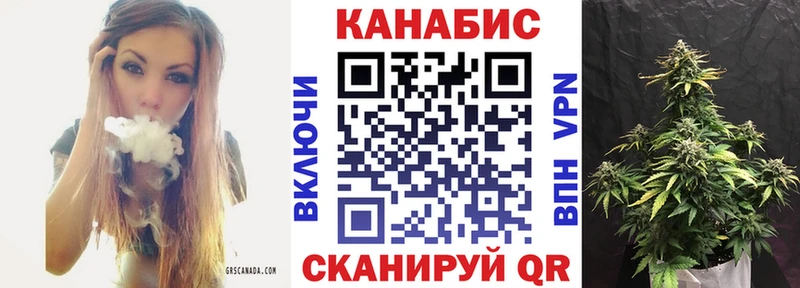 Конопля ГИДРОПОН  Купить где  Судогда 